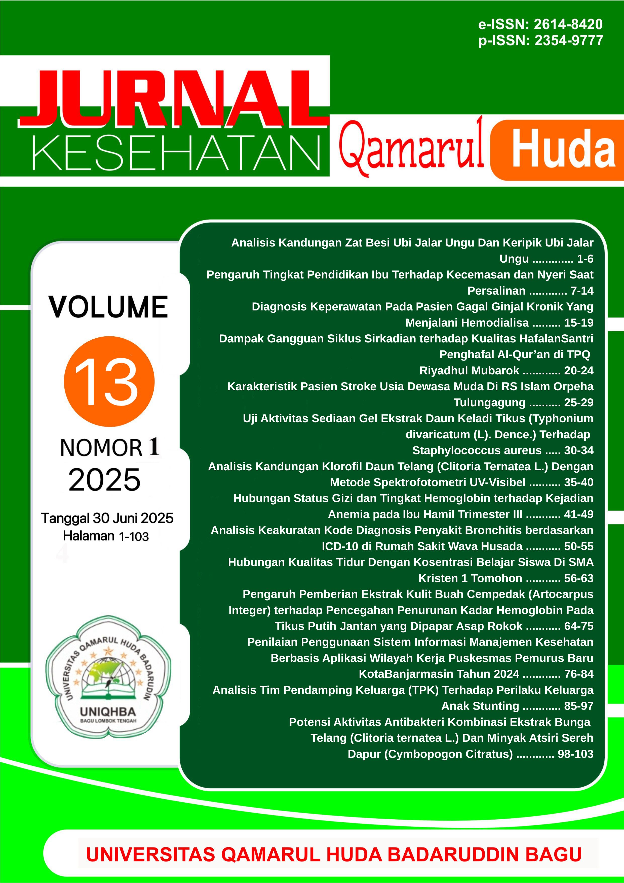 					View Vol. 13 No. 1 (2025): Juni 2025
				
